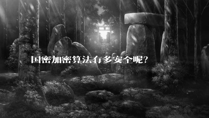 国密加密算法有多安全呢？